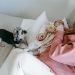 Így készíthetjük fel a kedvencünket a kisbaba érkezésére