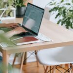 Így választhatjuk ki a legtartósabb szobanövényeket a sötétebb sarkokba is