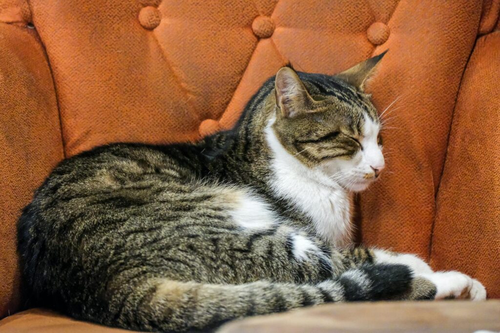 Hogyan változtathatjuk meg a lakás hangulatát néhány jól elhelyezett lámpa segítségével