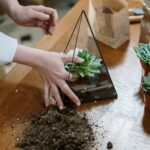 Így építhetünk saját miniatűr esőerdőt egyetlen üvegedényben