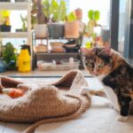 Így teremthetünk igazi macskaparadicsomot egy apró városi lakásban is