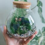 Így készíthetünk látványos és tartós floráriumot a nappalinkba