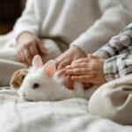 Miért nem elég egy sárgarépa és egy szűk ketrec a boldog nyúltartáshoz?