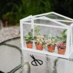 Így készíthetünk saját miniatűr növényvilágot egy egyszerű üvegpalackban